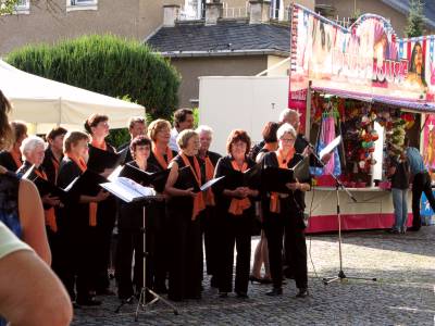 hauptst-wein